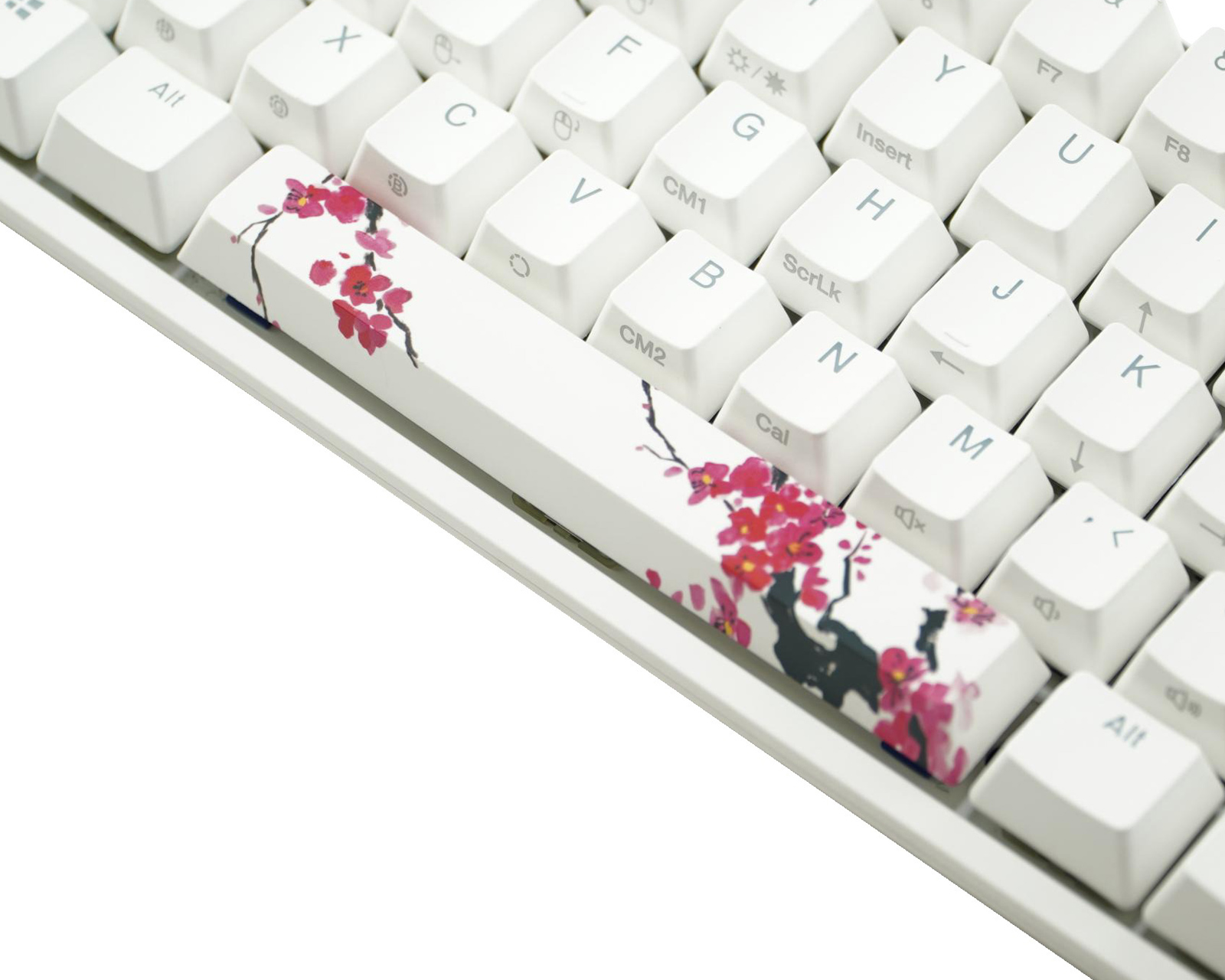 sakura spacebar